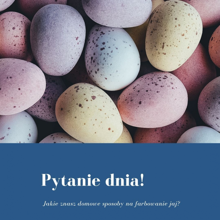13086859_PinkandBlueEasterEggsPhotoEasterSaleInstagramPost.thumb.jpg.3a5b719d71d4488dc2656e35ee4e769c.jpg